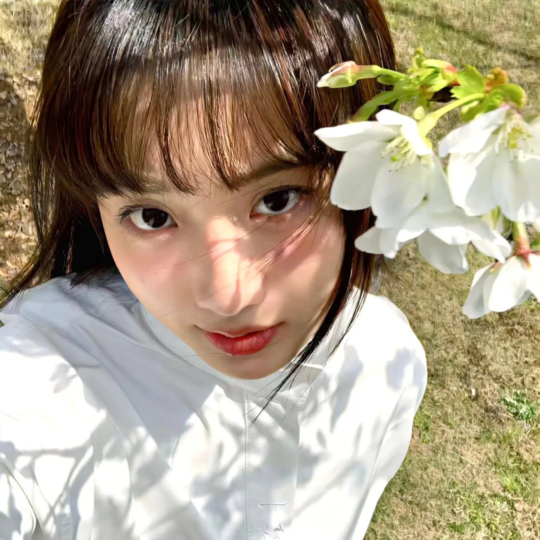 刺猬小子之天生我刺 在线观看